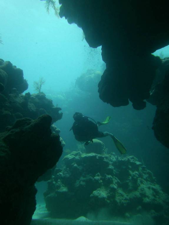 Canyon de coral no litoral sul de Bermuda